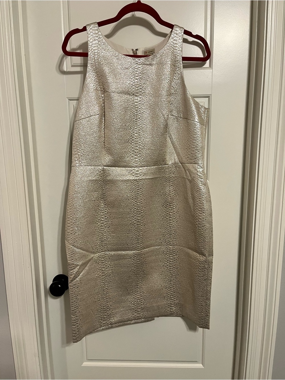 Daniel Cremieux Metallic Silver Textured Mini Dress
